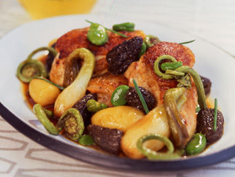 Guinea Hen Casserole With Morels, Fava Beans, And Fiddlehead Ferns